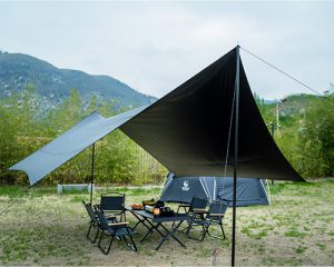 best custom canopy tent